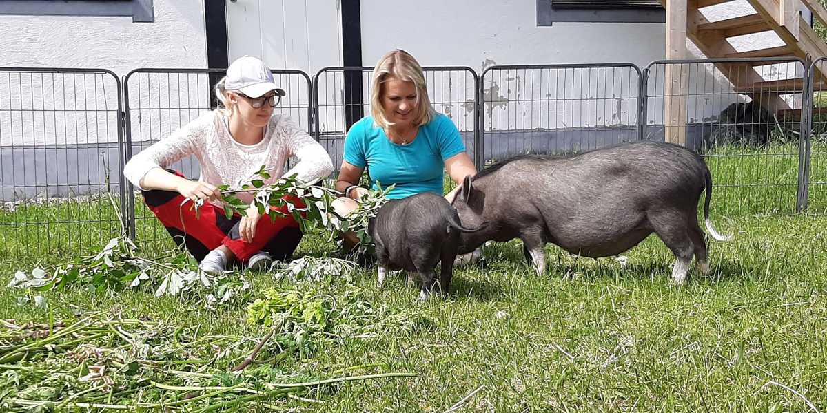 Två kvinnor som sitter marken med två grisar